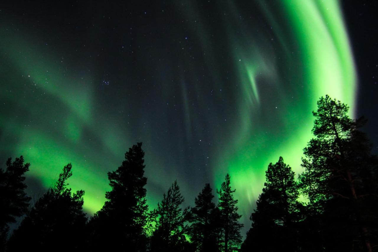 Sorrisniva Arctic Wilderness Lodge อัลต้า ภายนอก รูปภาพ